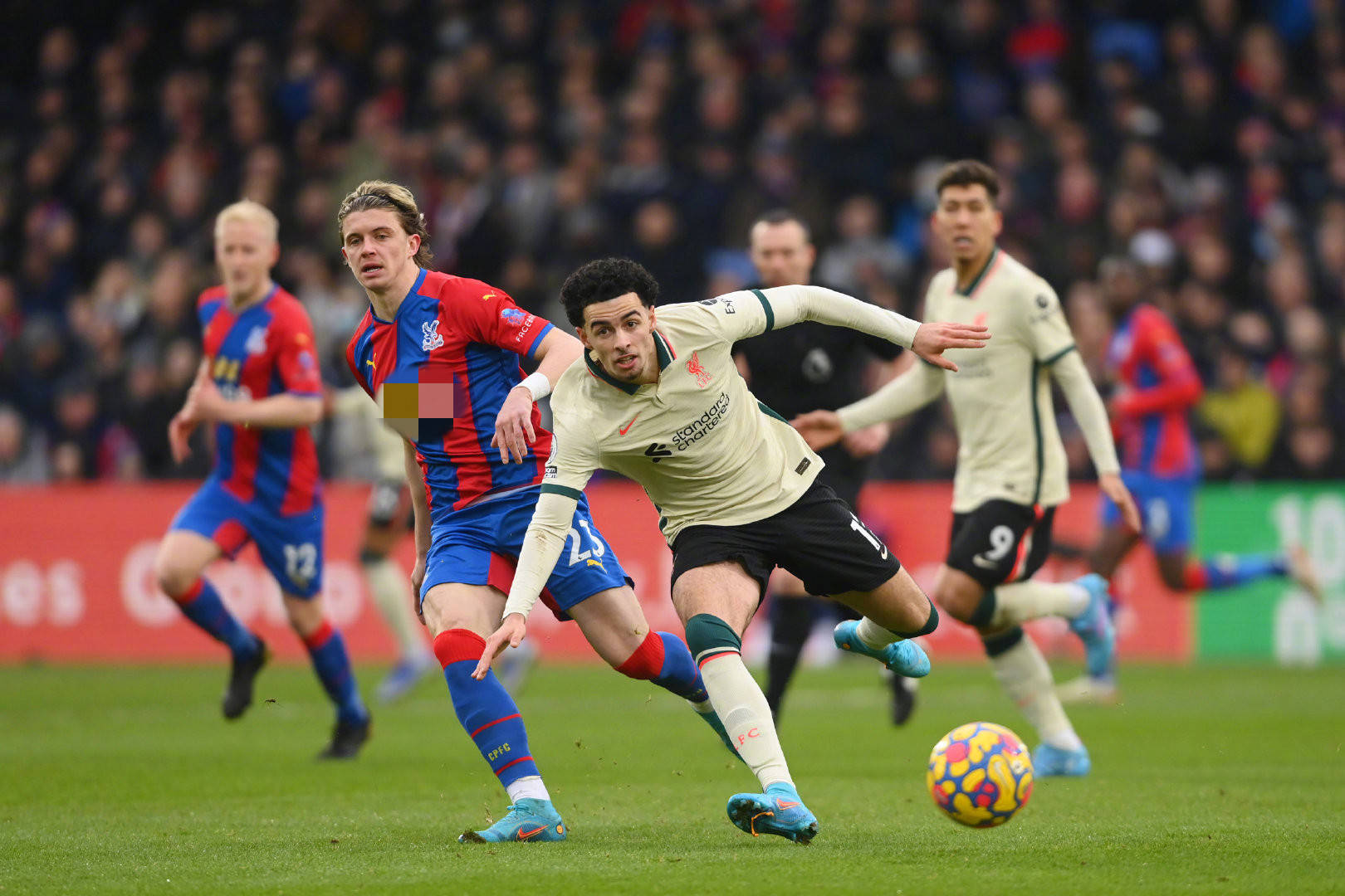 赢得了全场 赢得了全场